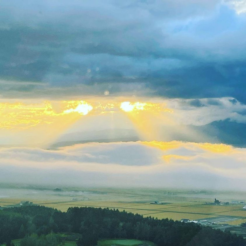 kandm884さんの写真 / 1