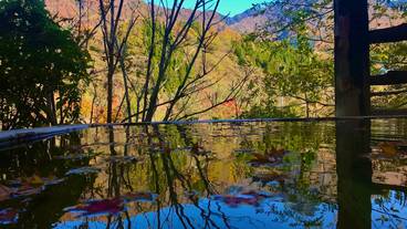檜の露天風呂と紅葉 / 4