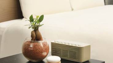 客室の設備とサービス / 30