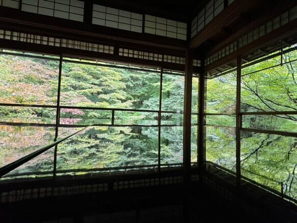 mikip__22さんの写真 / 1