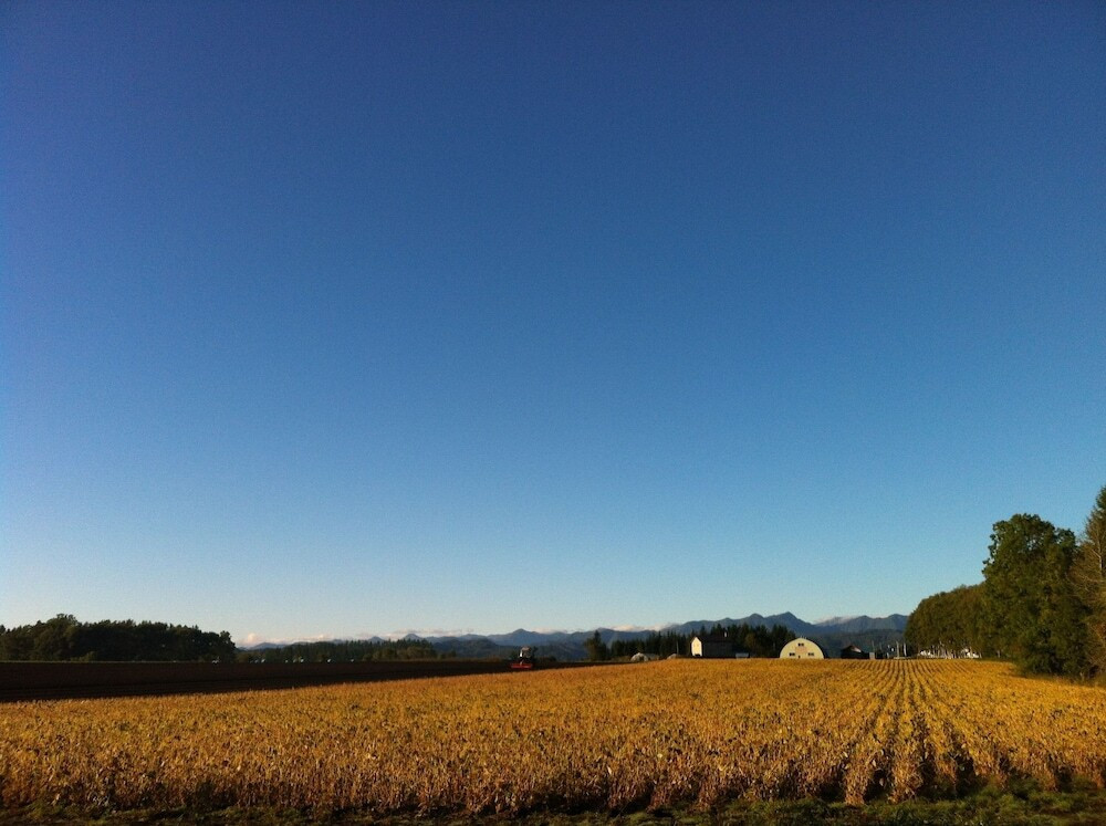 施設からの眺望