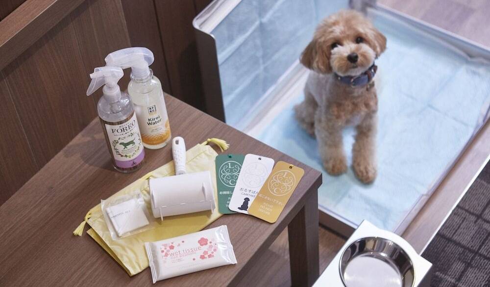 人もわんこも心地よい
お部屋でまったり / 4