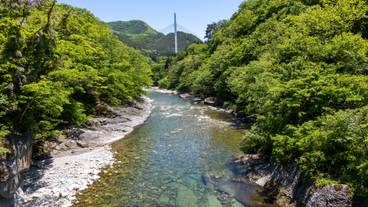 諏訪峡遊歩道からの眺め(夏) / 3