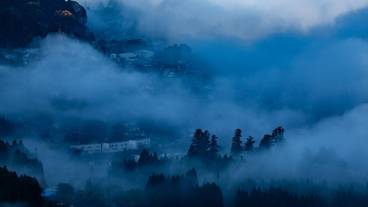 ランド ビュー / 25