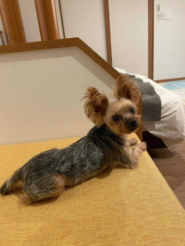 shiori.0610.iroihsさんの写真 / 2