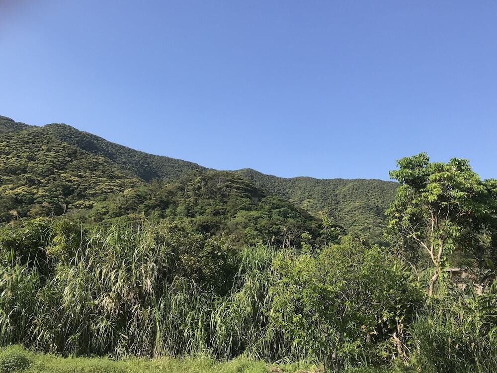 マウンテン ビュー