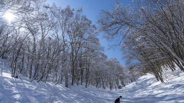 スノー スポーツとスキー / 6