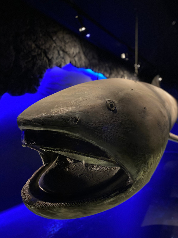 riochi_odekakeさんの写真 / 2