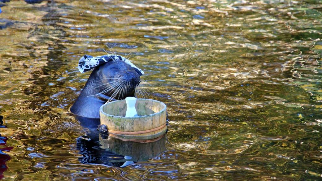 生き物と触れ合える
「箱根園」へ / 3