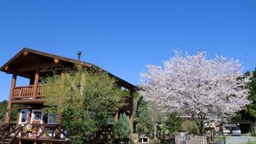 施設の敷地 / 10