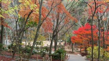 施設の敷地 / 20