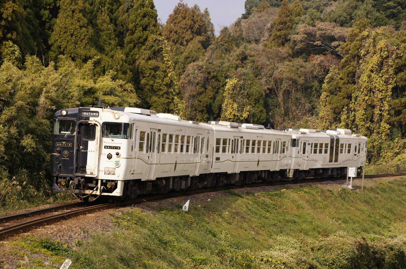 白と黒の車体　特急「指宿のたまて箱」（キハ47・140）
