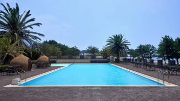 屋外プール / 15