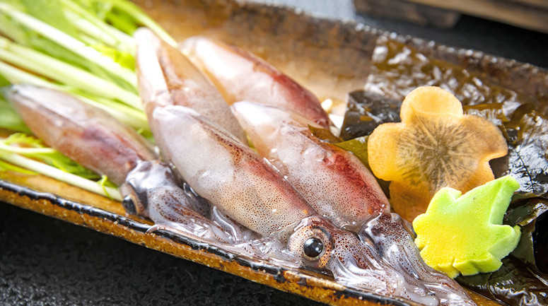 露天風呂のお部屋と、割烹料理店で修業したご主人のお料理が魅力4230396