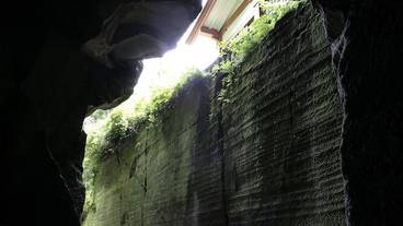 バスルーム / 14