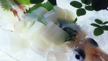 レストラン / 12