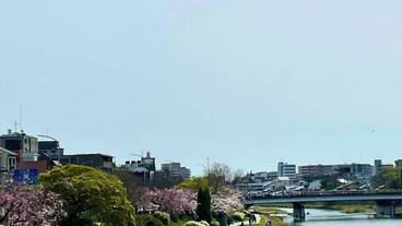 シティ ビュー / 15