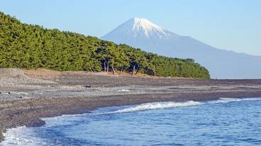 ランド ビュー / 37