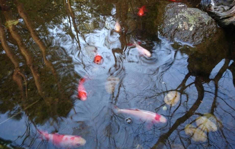 緑豊かな敷地内で
ゆるりと過ごすひととき / 2