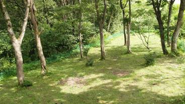 施設からの眺望 / 15