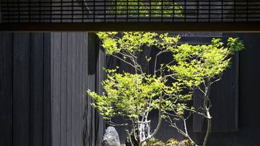 施設からの眺望 / 2