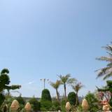 ミスティマウンテンズ・プール / 3