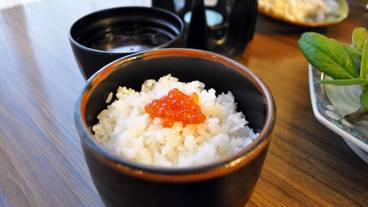 食事・飲み物 / 8