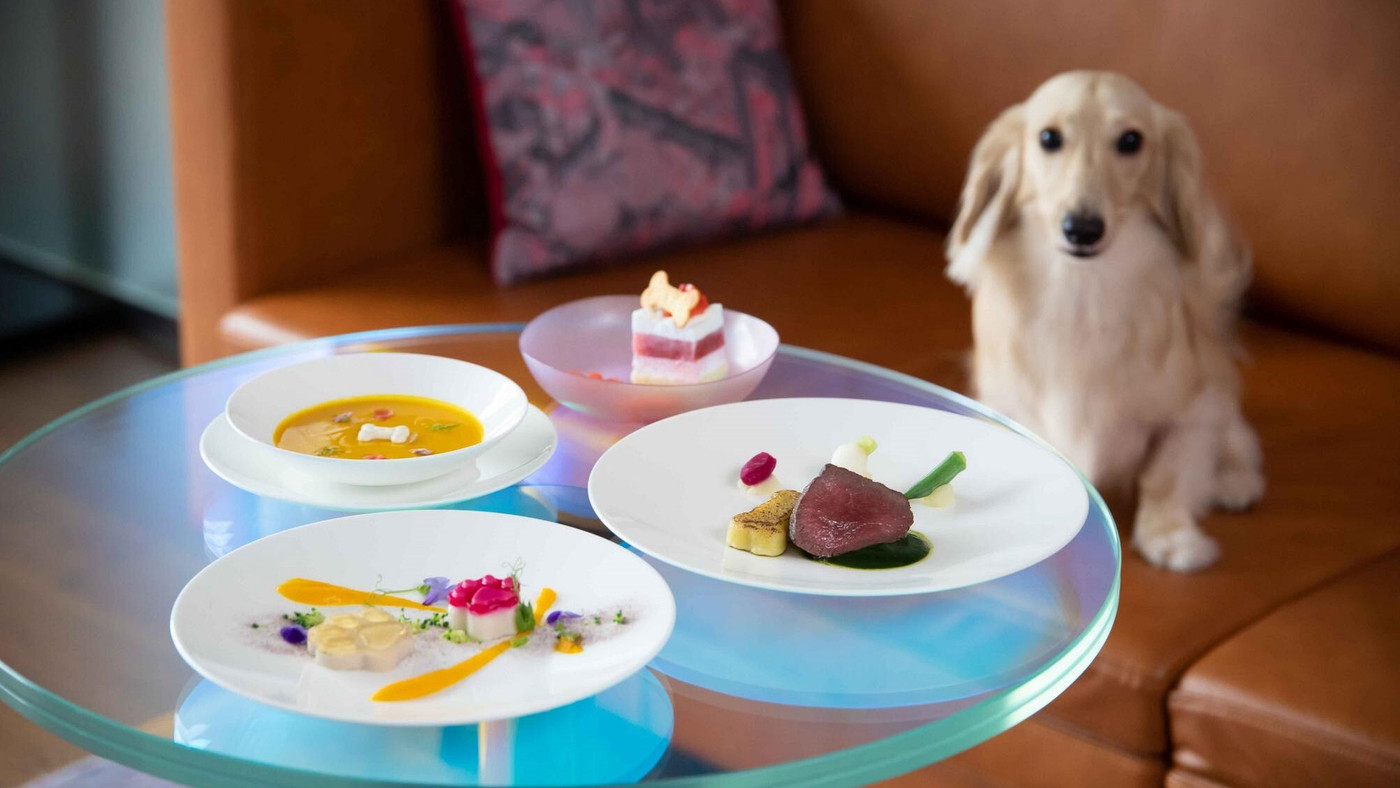 ペットと泊まれるホテルや旅館でさらに旅が充実3927568