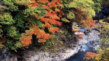 ランド ビュー / 36