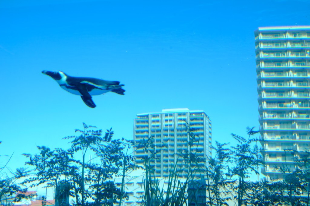 2.特別展示が楽しい♪「サンシャイン水族館」1989673