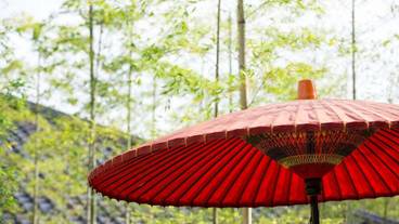 施設からの眺望 / 4