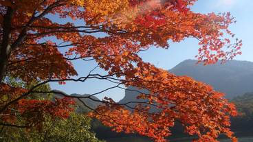 施設からの眺望 / 29