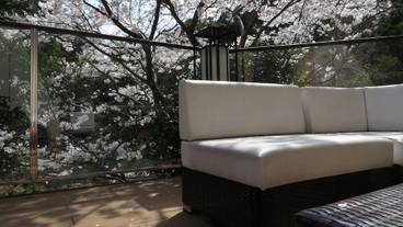 テラス / パティオ / 16