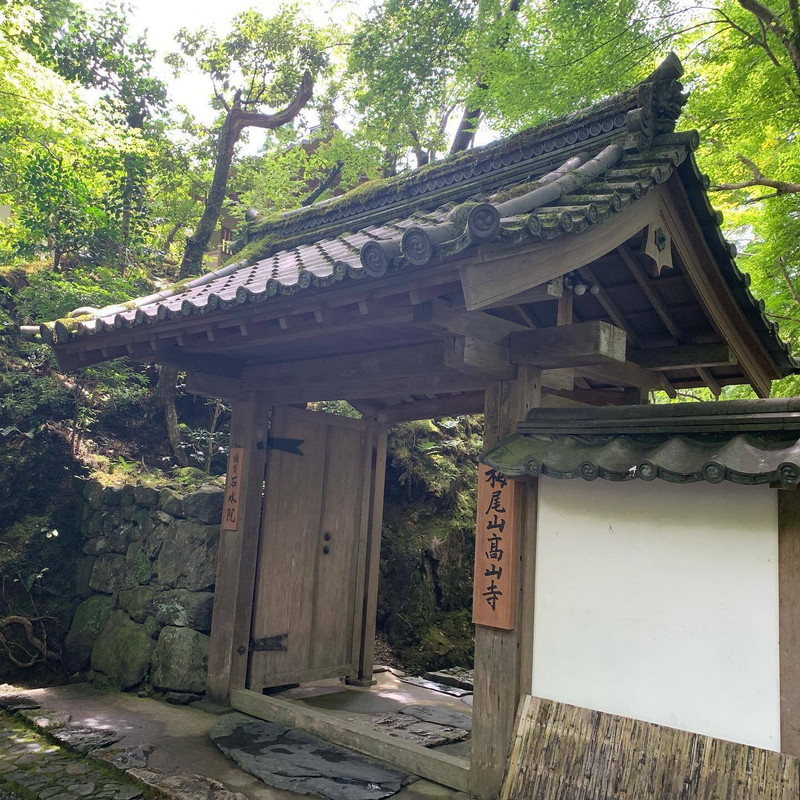 ririripkさんの写真 / 1