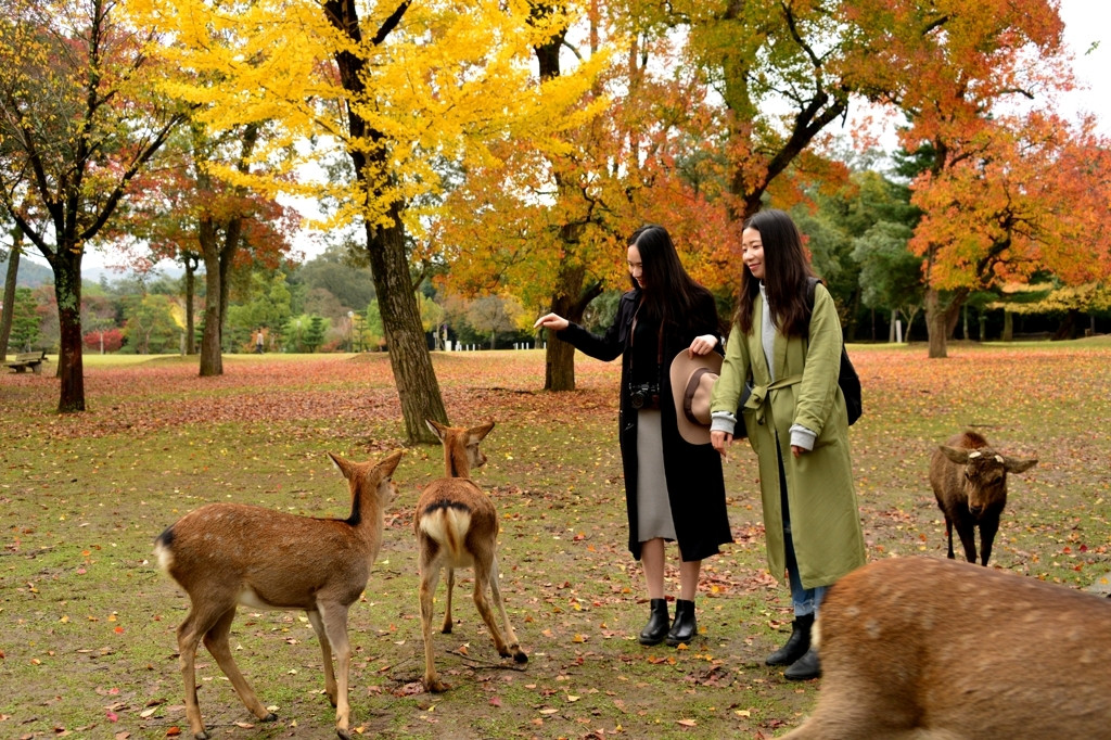 あをによし奈良の女子旅♪おすすめの拠点は奈良公園！2119539