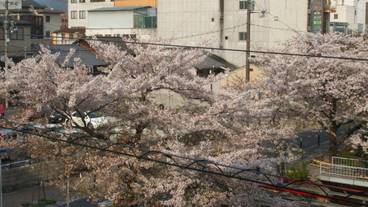 施設からの眺望 / 5