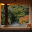 箱根湯本温泉 箱根水明荘