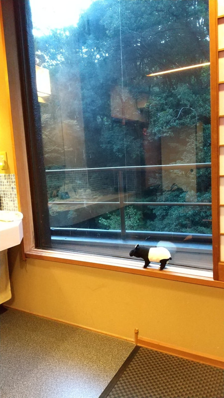 窓際に洗面台とはレトロ。窓の下は川。