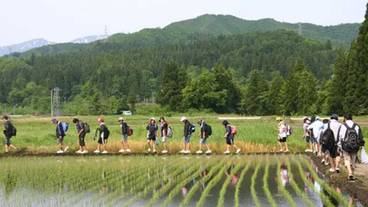 バーベキュー / ピクニック エリア / 10