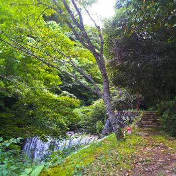 奥湯河原温泉 旅館加満田(かまた)3916699
