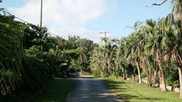 施設の敷地 / 13
