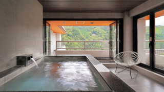 プレミア ルーム マウンテンビュー