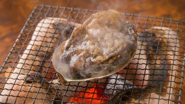 [Abalone] / 13