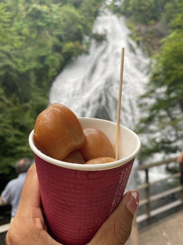 観光スポット