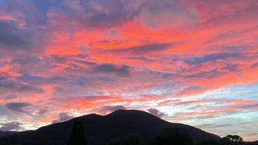 施設からの眺望 / 19