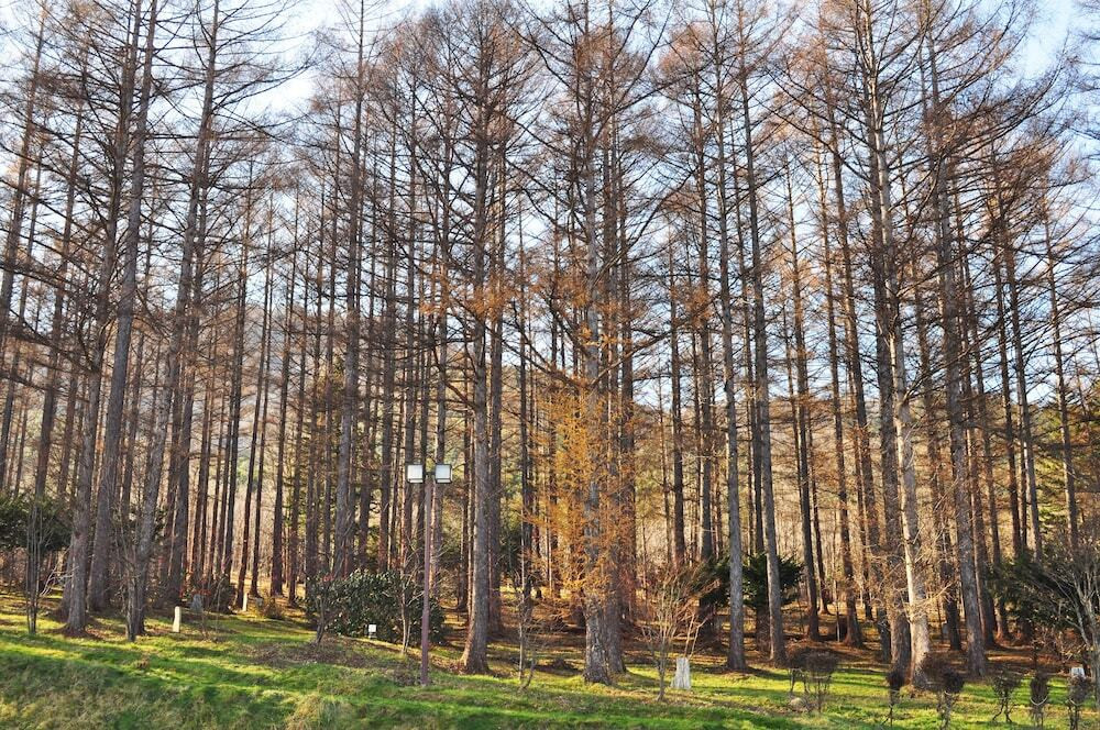 施設からの眺望