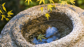 (鳥)5人部屋 2ベッドルームタウンハウス 禁煙