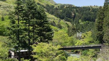 四万温泉 柏屋旅館（シマオンセン カシワヤリョカン） / 1
