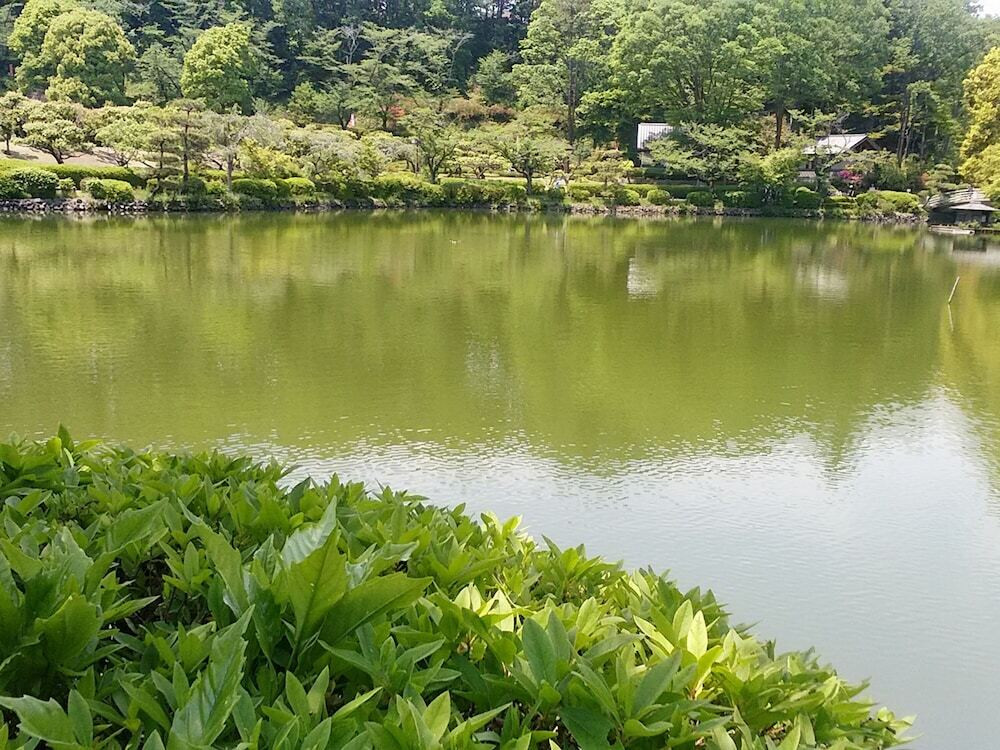 観光スポット