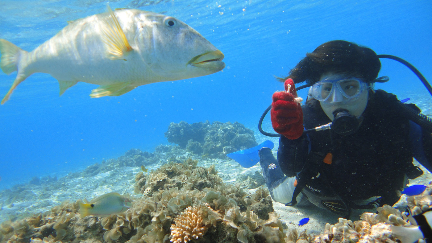 キレイな魚やサンゴを目で楽しむ「マリンシュノーケリング」4270019